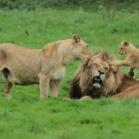 La Brie A 15mn De Disneyland Et Village Nature Neufmoutiers-en-Brie